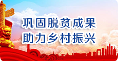 鞏固脫貧成果 助力鄉村振興